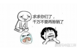 陇南债务清欠服务